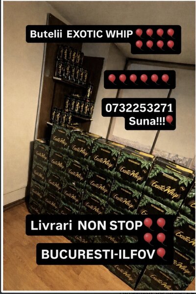 Butelii  baloane exotic whip  livrare non stop